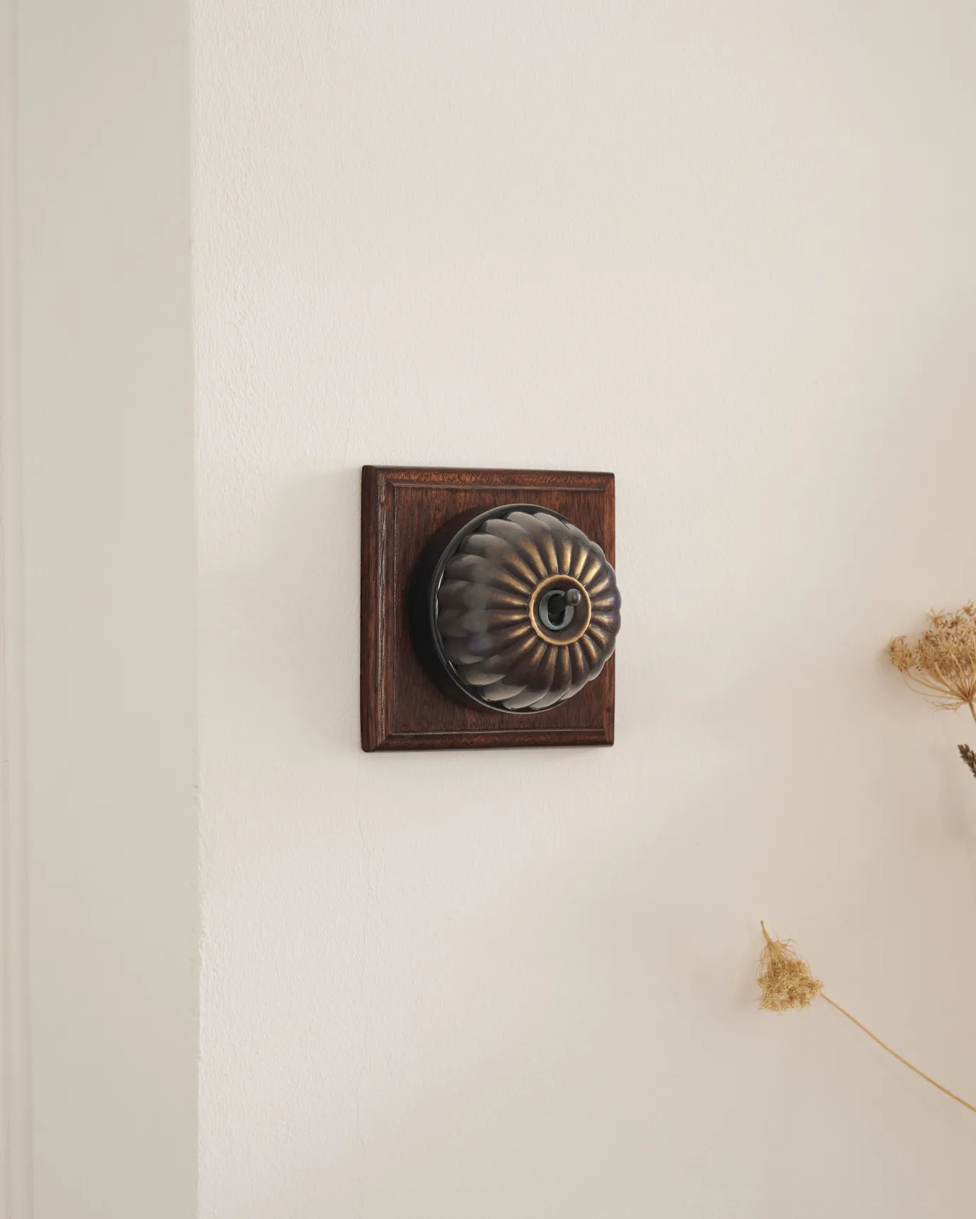 A 1 gang Jelly toggle light switch in an Oxidised Brass finish, with a black ceramic base and a Stained Sapele pattress.