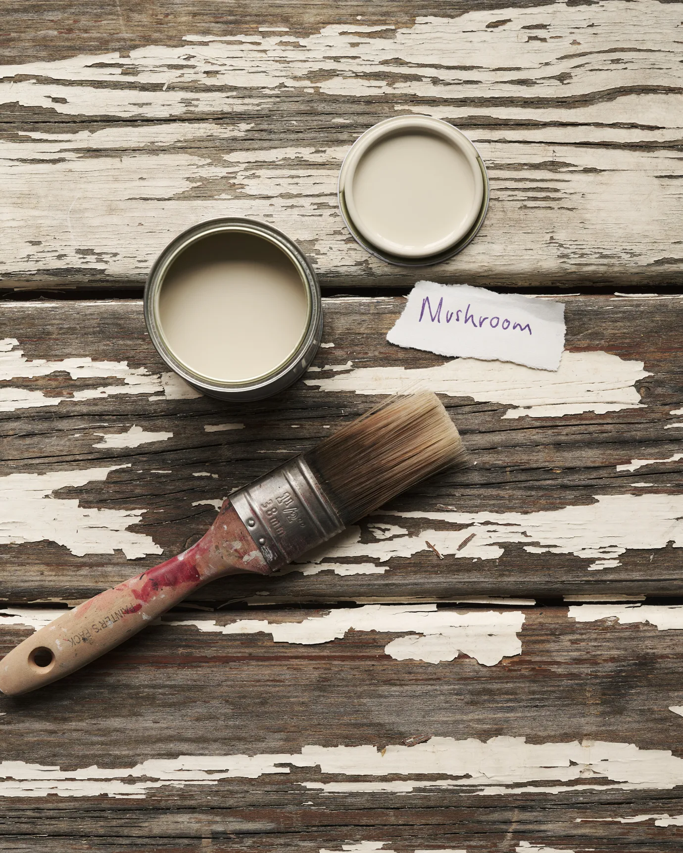 An overhead view of an open paint pot and a worn brush on a rustic tabletop. The creamy mushroom colour inside is labelled 'Mushroom'.