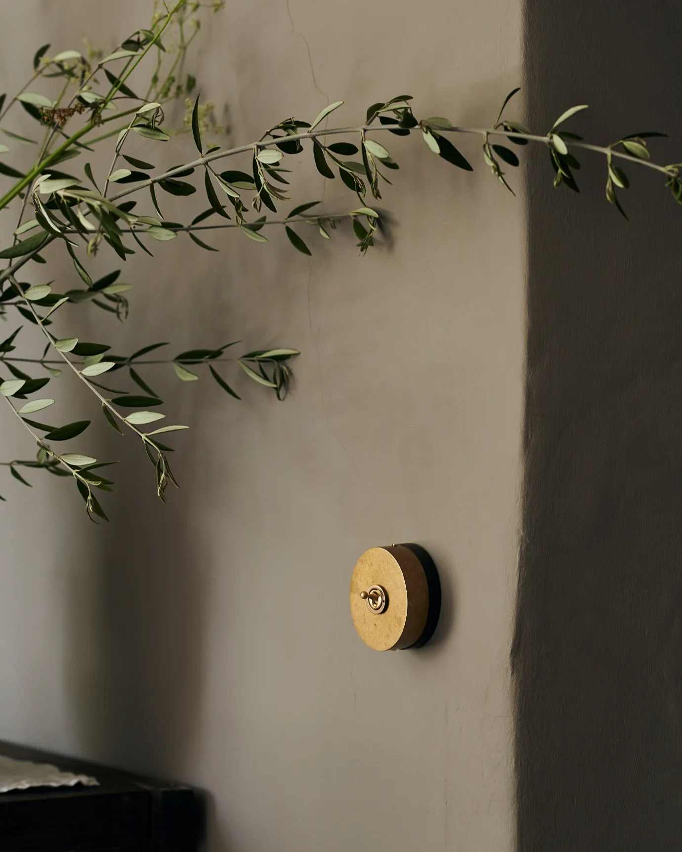 A small 1 gang oval-shaped toggle switch in aged brass on a grey wall, olive branches drift into view from a nearby vase.
